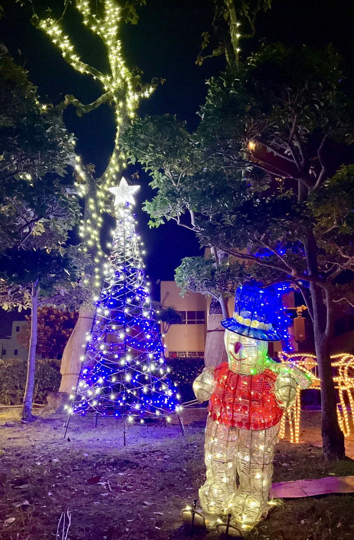 １２月２日　撮影